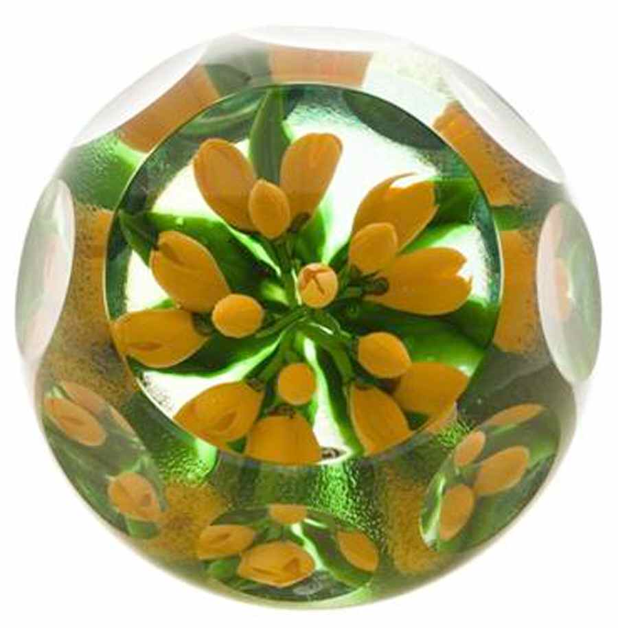Caithness Paperweight Forest Glory - Nb705, No Box by Caithness-1