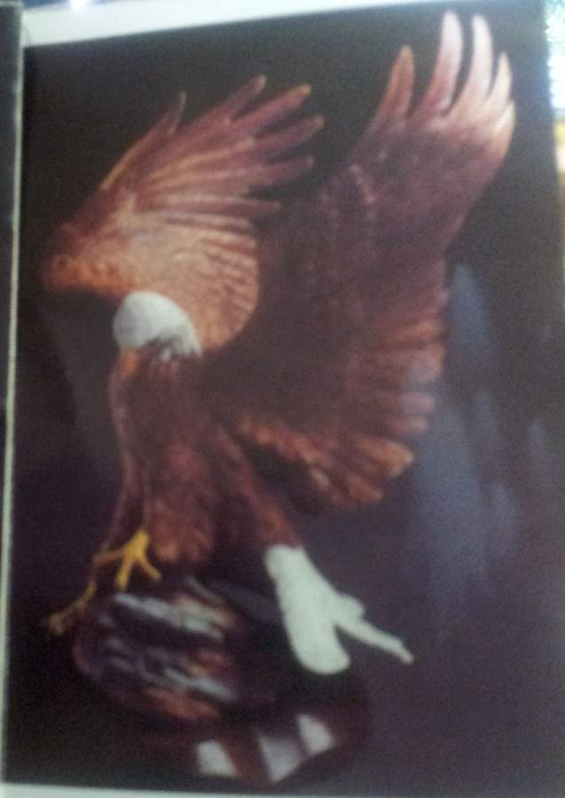 Cybis Birds American Bald Eagle - No Box by Cybis-1