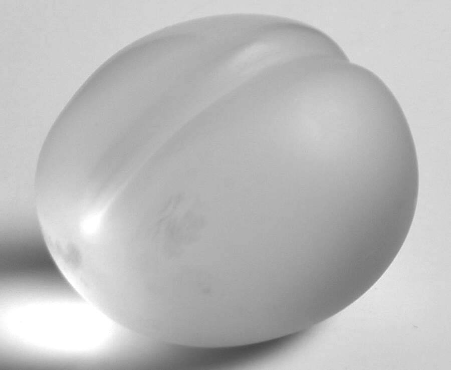Lalique Figurines & Paperweights Prune (Plum) - Boxed by Lalique-1