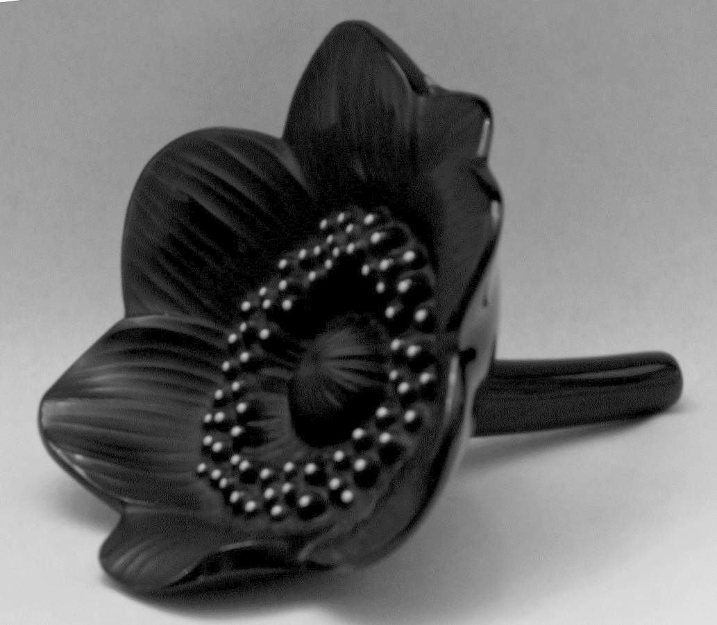 Lalique Figurines & Paperweights Anemone Flora - Black - Boxed by Lalique-1