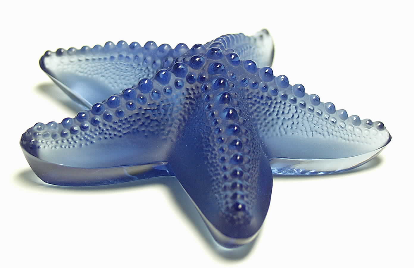 Animals - Other Starfish Oceania - Blue - Boxed by Lalique-1