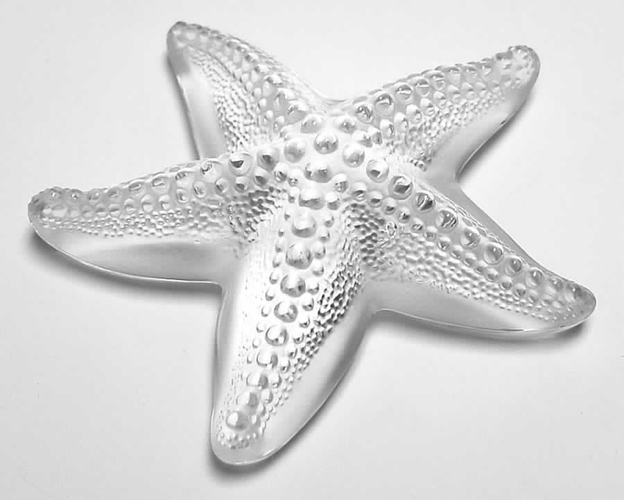 Animals - Other Starfish Oceania - Clear - Boxed by Lalique-1