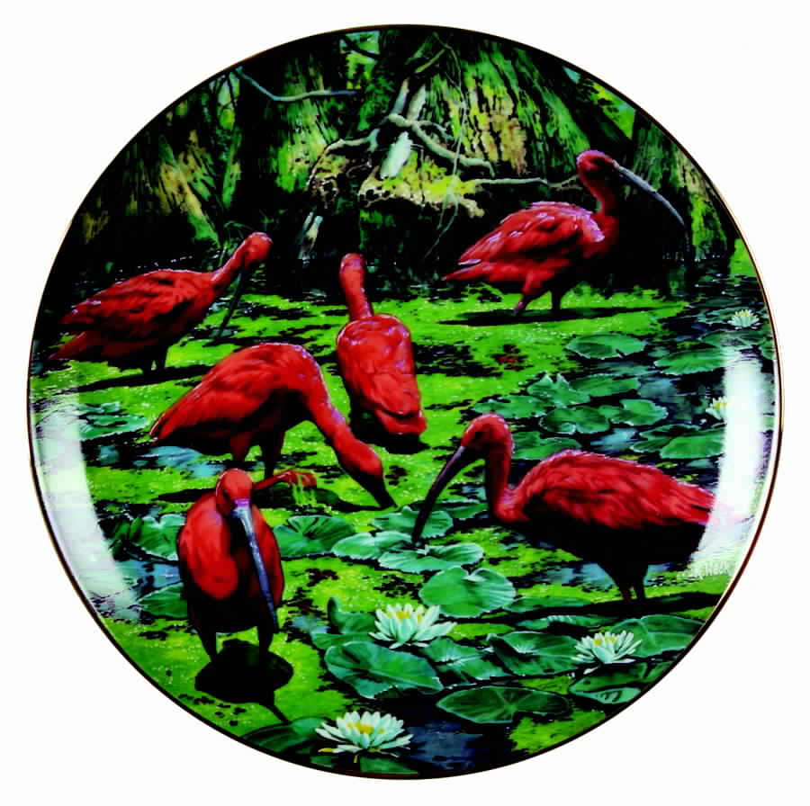Exotic Birds of Tropique Scarlet Ibis - No Box by Royal Cornwall-1