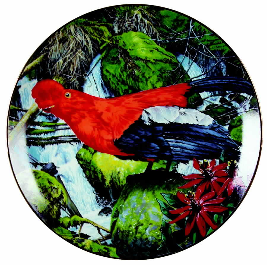 Exotic Birds of Tropique Andean Cock-Of-The-Rock - No Box by Royal Cornwall-1