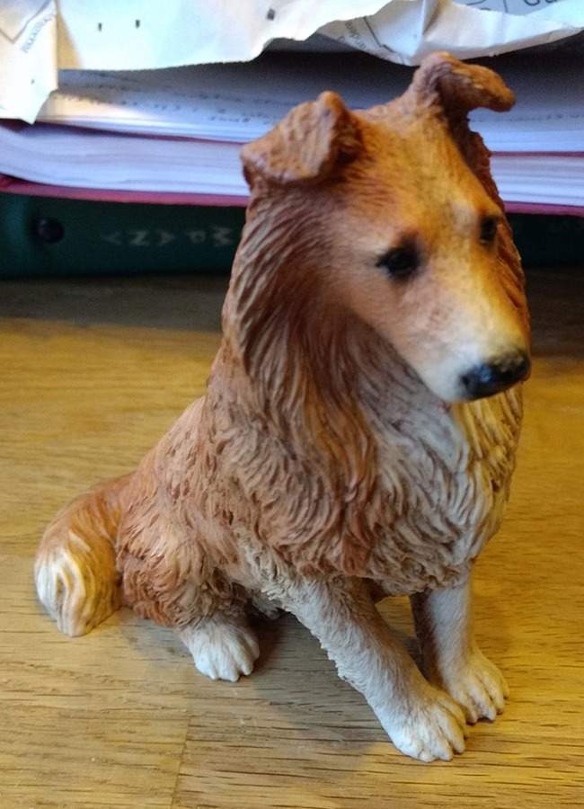 Dog Collection Long Hair Collie - Boxed by Castagna Collection-1