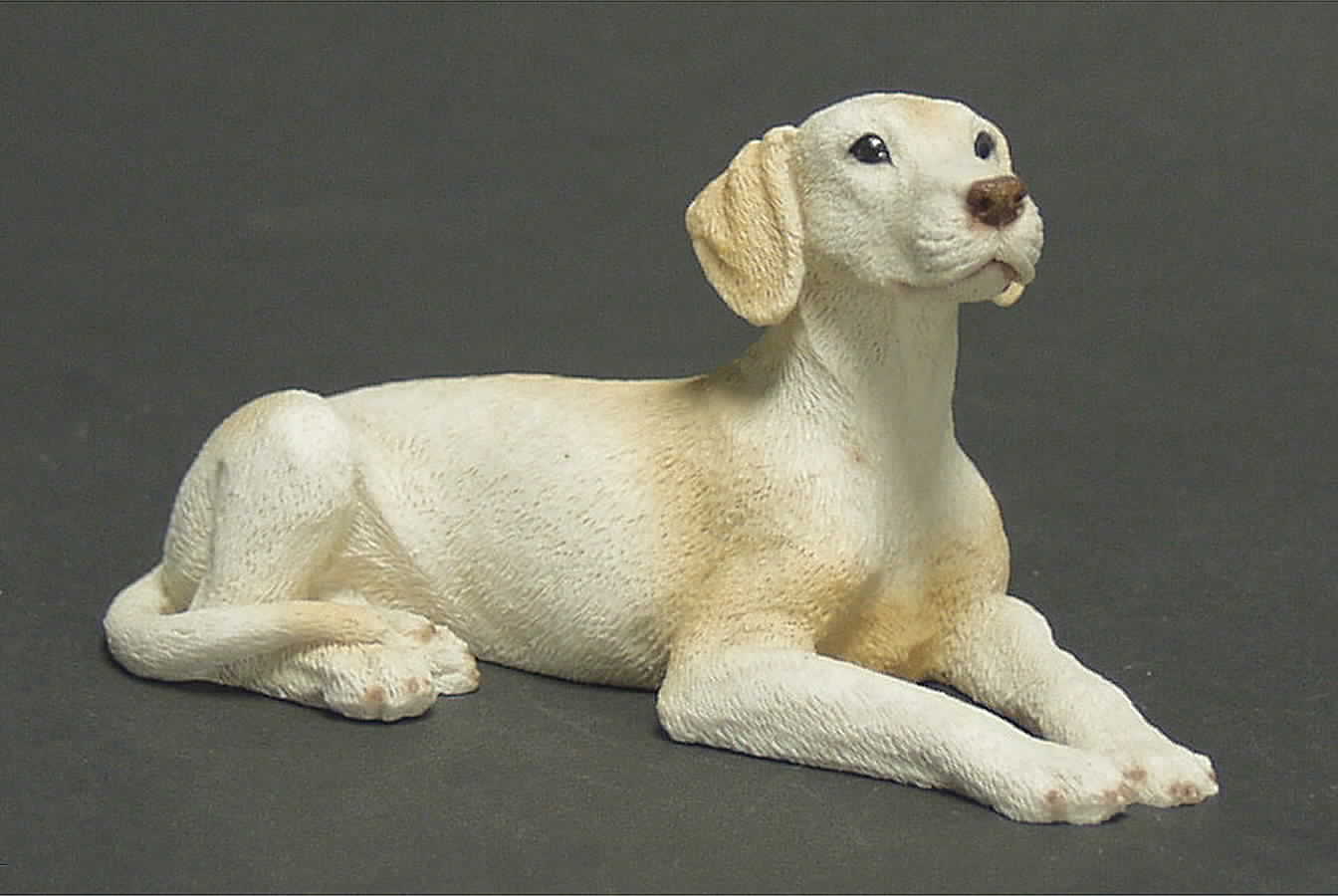 Dog Collection Golden Labrador - Boxed by Castagna Collection-1
