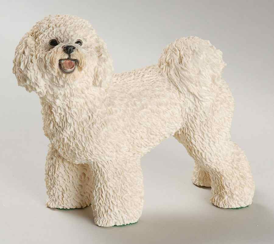 Dog Collection Bichon Frise - Boxed by Castagna Collection-1