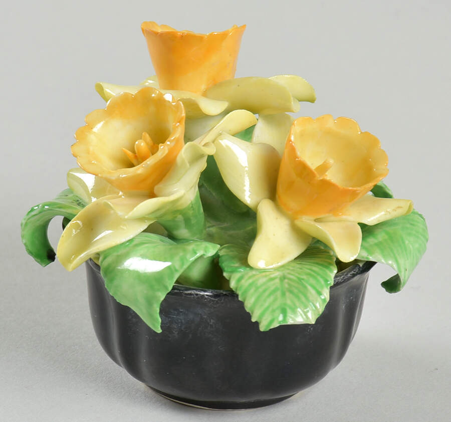 Coalport Florals Three Yellow Daffodil Black Pot  - No Box by Coalport-1