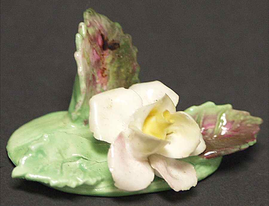 Crown Staffordshire Florals Place Card Holder-White Rose - Boxed by Crown Staffordshire-1