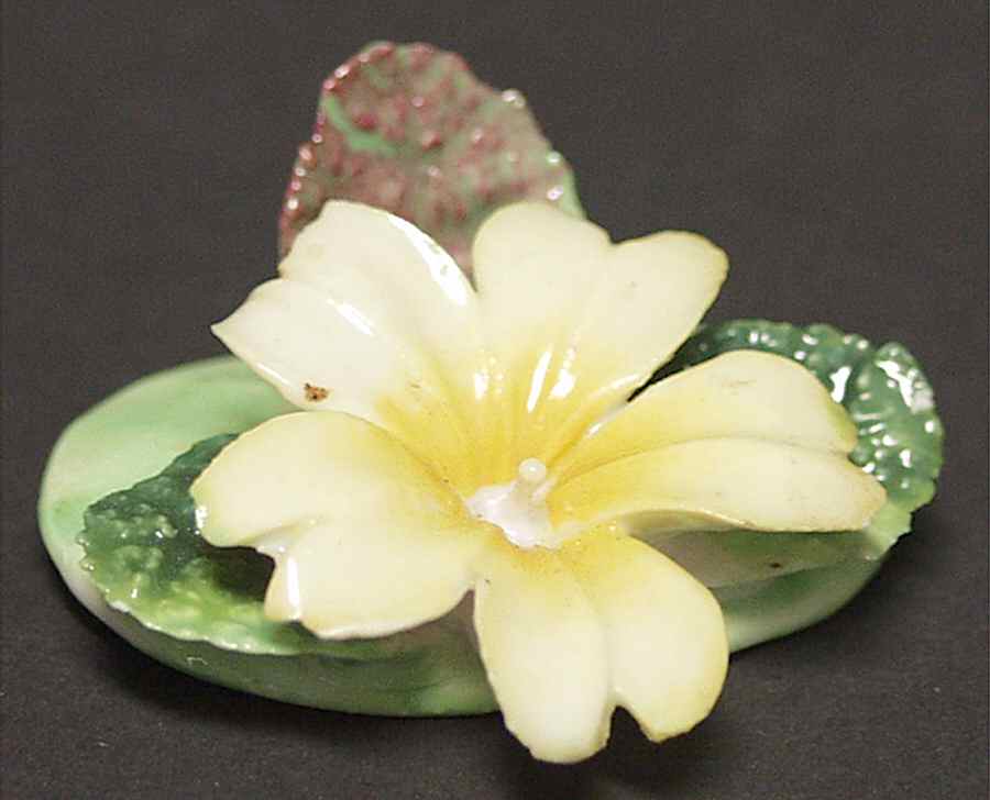 Crown Staffordshire Florals Place Card Holder-Yellow Hibiscus - Boxed by Crown Staffordshire-1