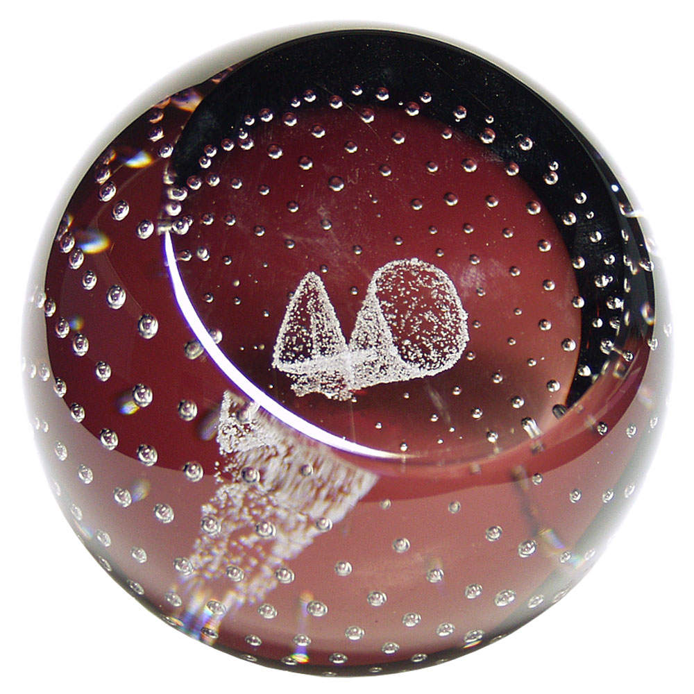 Occasions Paperweight Collection Celebration Numeral 40 - Boxed by Caithness-1