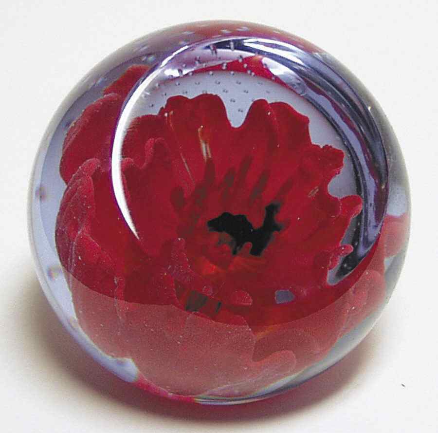 Caithness Giftware Remembrance-Poppy-Ppw - Boxed by Caithness-1