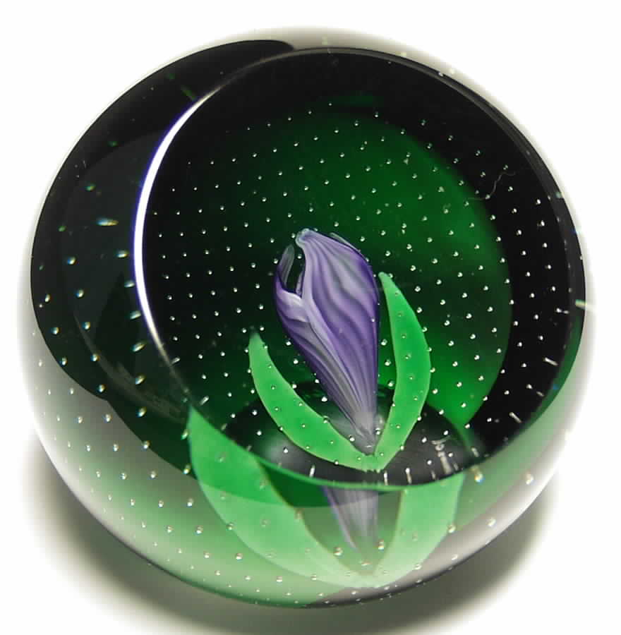 The Floral Year Paperweight February-Crocus - No Box by Caithness-1