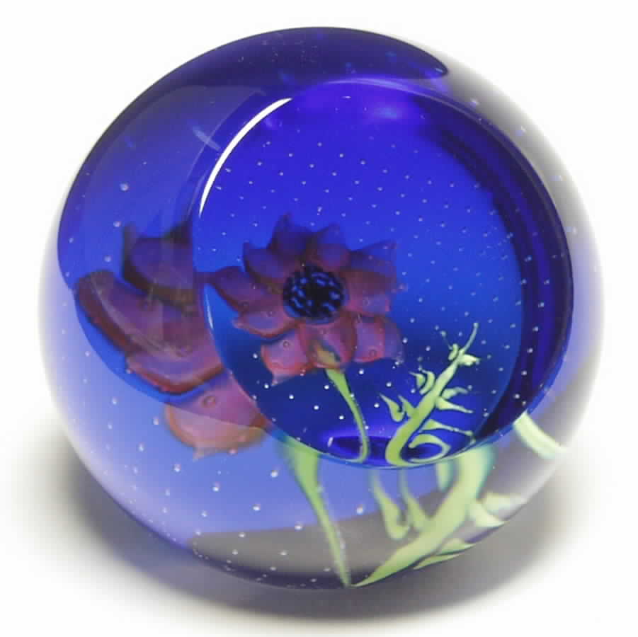 The Floral Year Paperweight October-Anemone - No Box by Caithness-1
