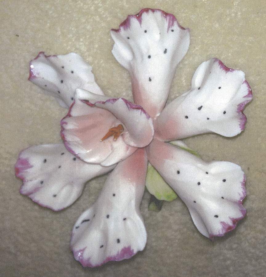Capodimonte Giftware White Flower With Dots - No Box by Capodimonte-1