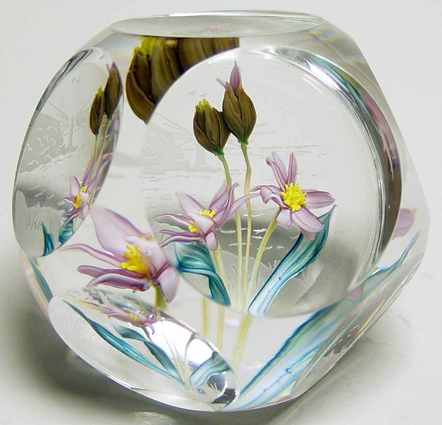 Whitefriars Paperweights Cliff Top - Boxed by Caithness-1