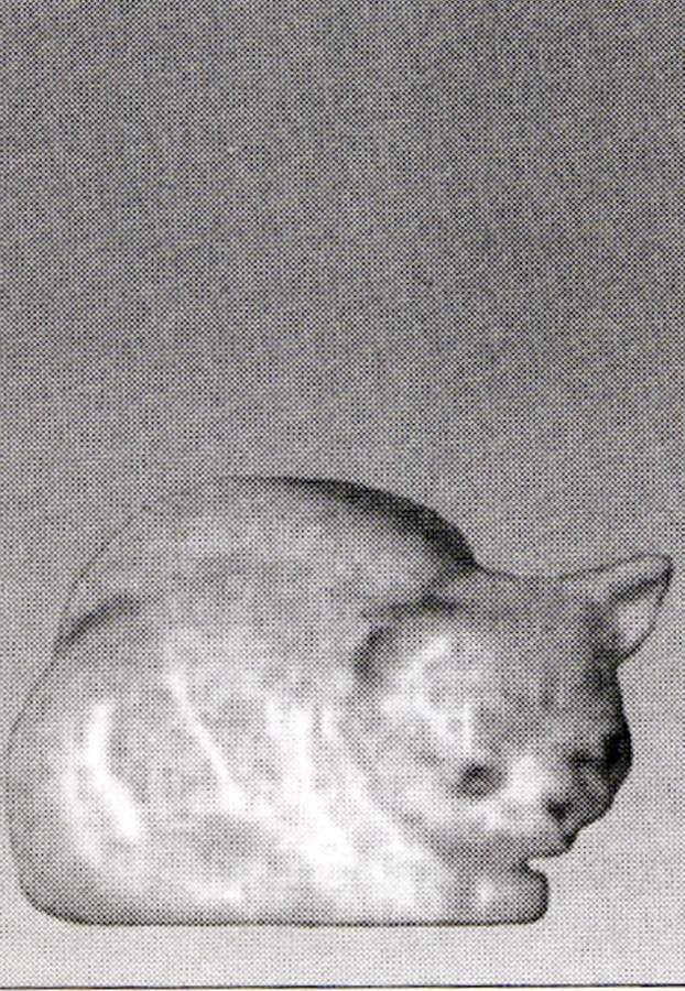 Children's Collection Cat - No Box by Coalport-1