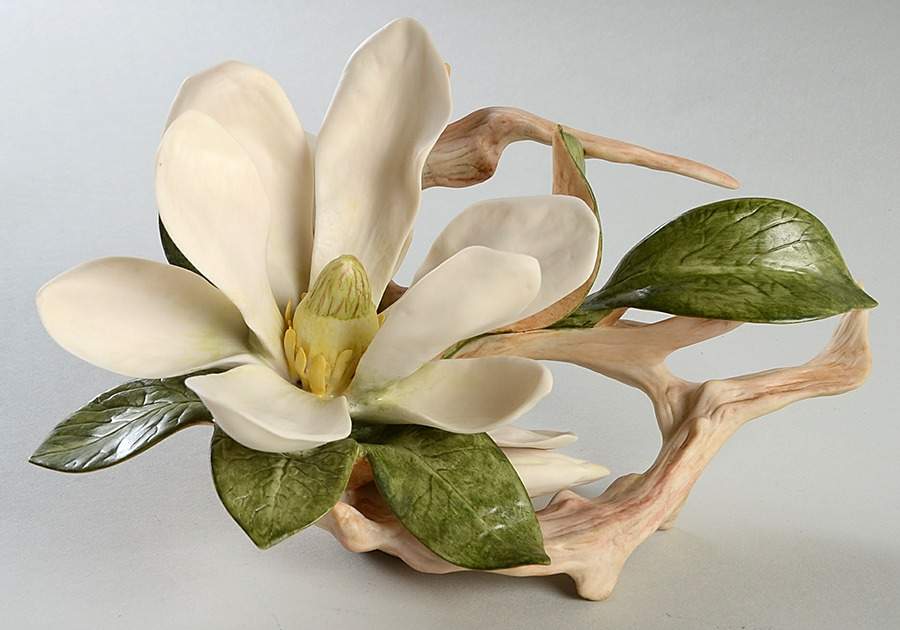 Floral Studies Magnolia - No Box by Cybis-1