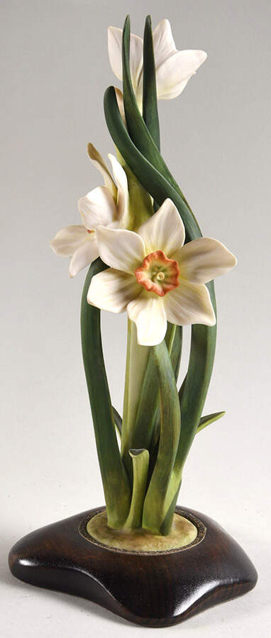 Floral Studies Narcissus  - No Box by Cybis-1