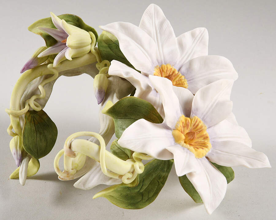 Floral Studies Clematis-White - No Box by Cybis-1