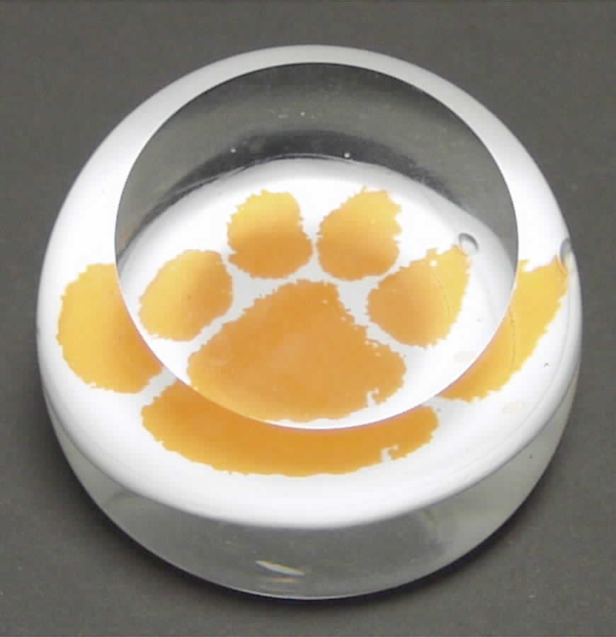 Collegiate Glass Paperweight Clemson - Boxed by Dynasty Gallery-1