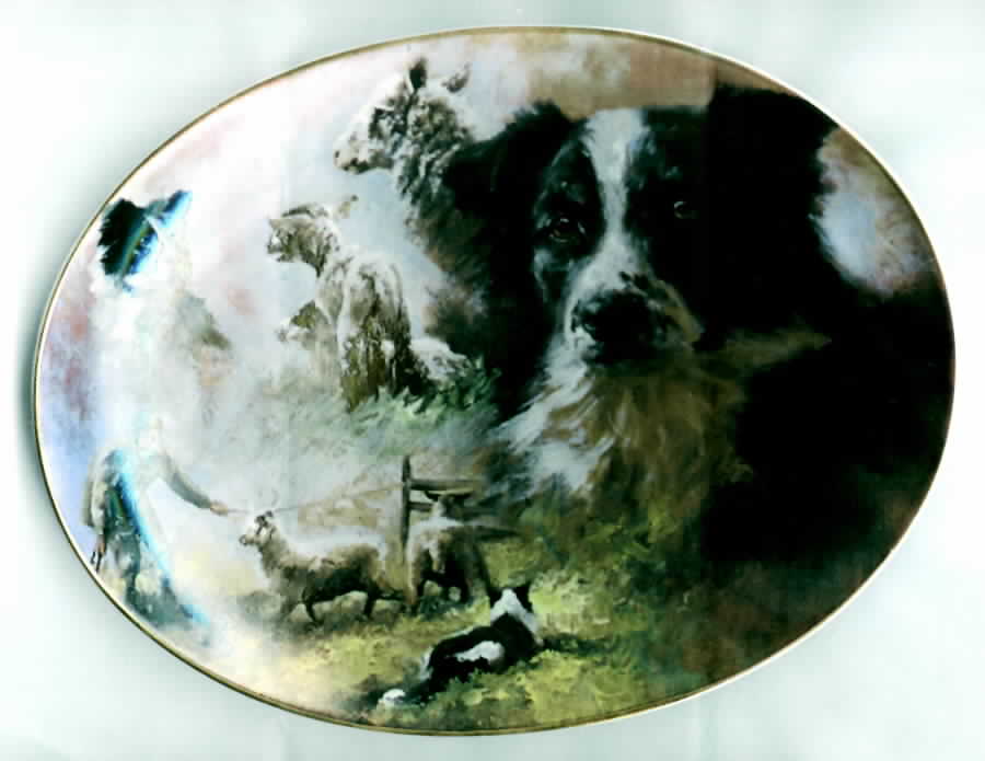 Border Champion A Loyal Friend - No Box by Davenport-1