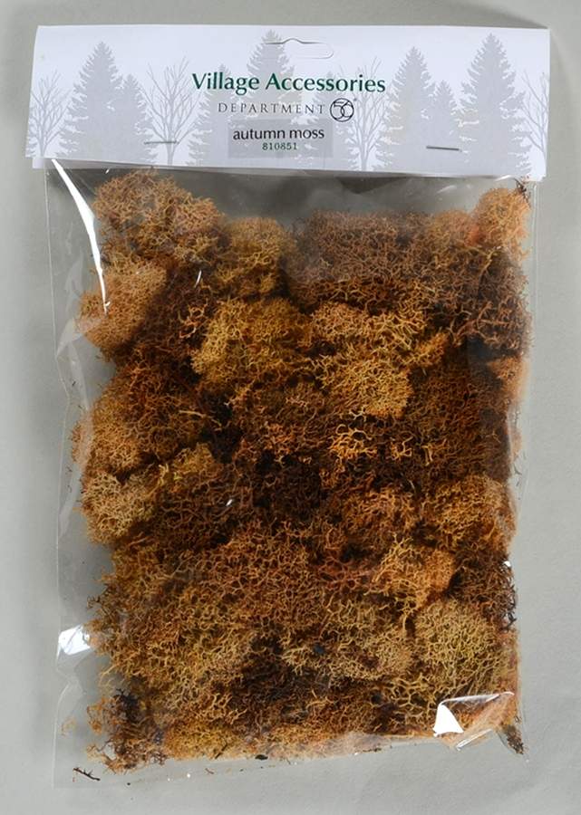Harvest Collection Accessories Village Autumn Moss - Boxed by Department 56-1