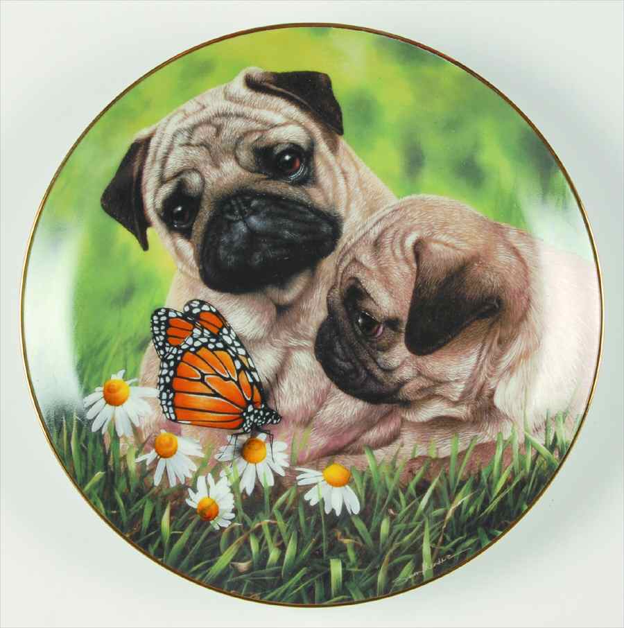 Pugs Pug Eyed - No Box by Danbury Mint-1