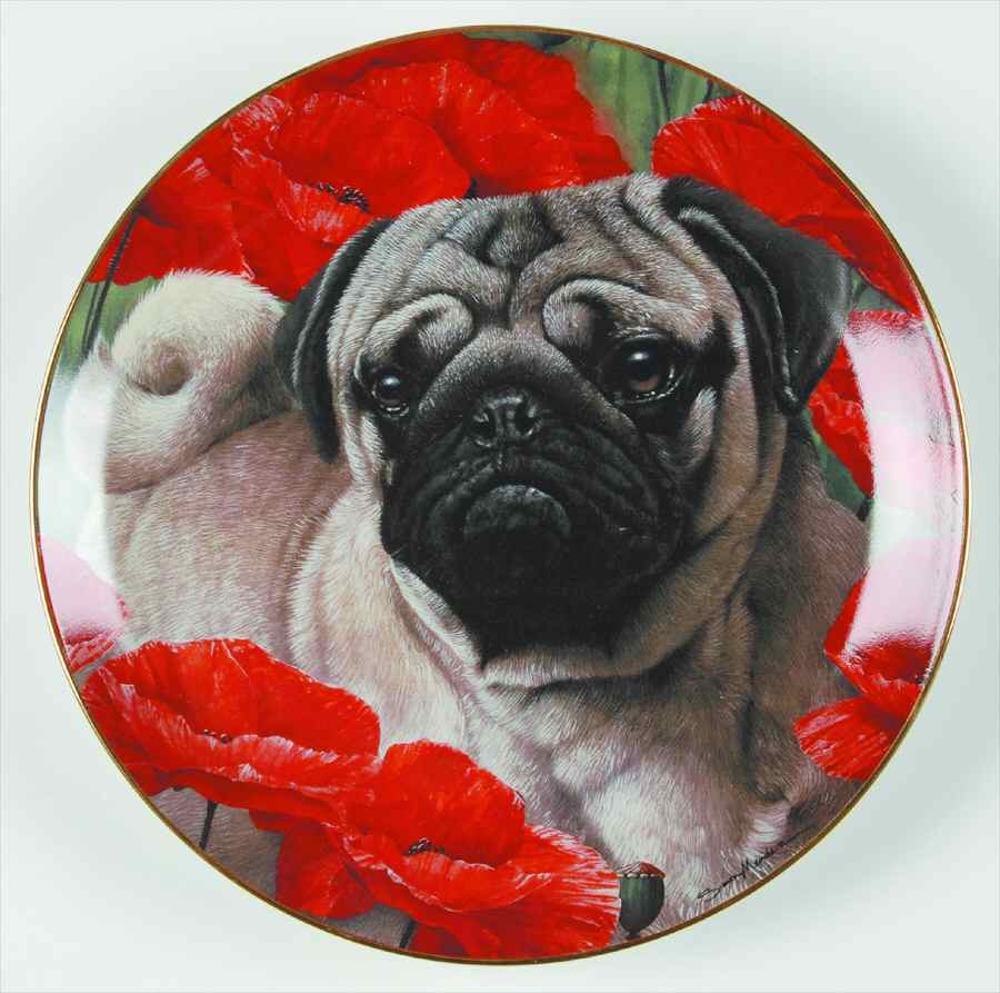 Pugs Poppy Love - No Box by Danbury Mint-1