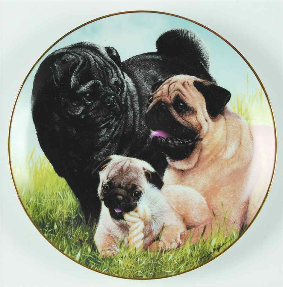 Pugs Proud Pugs - No Box by Danbury Mint-1