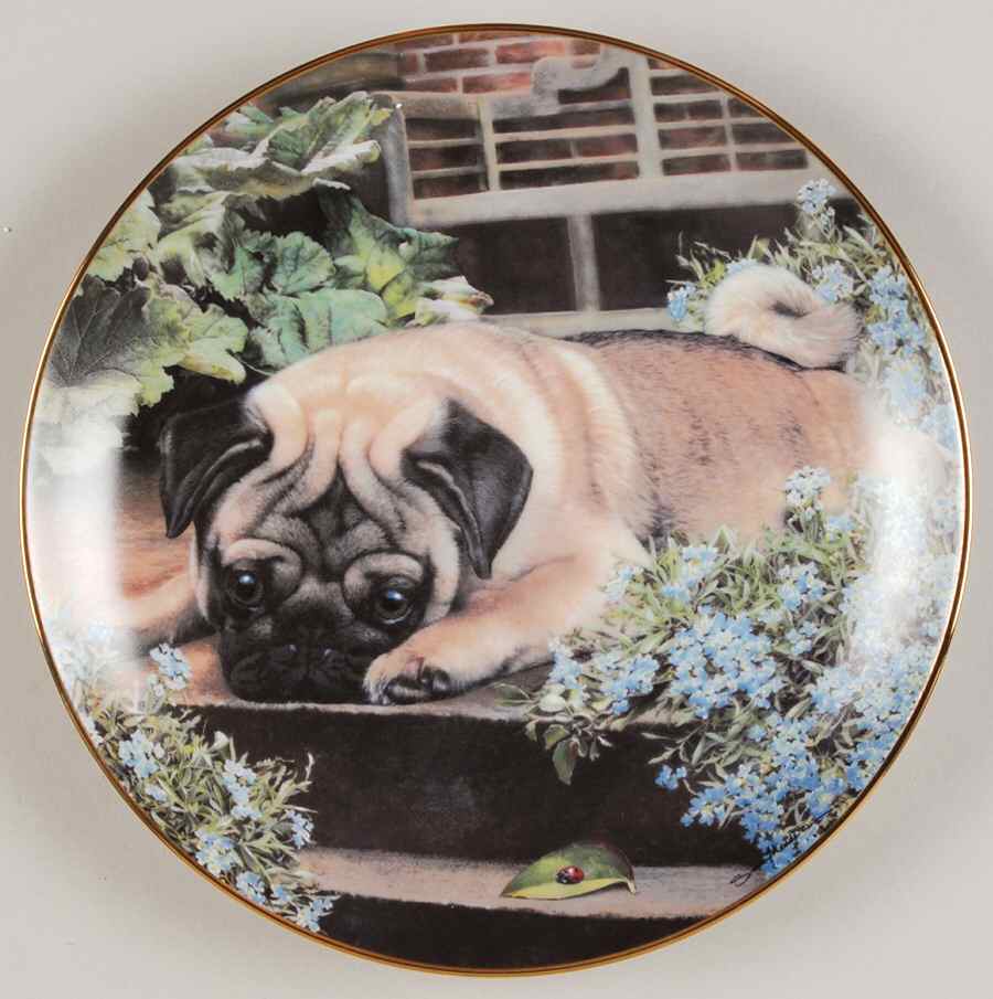 Pugs A Pug's Life - No Box by Danbury Mint-1