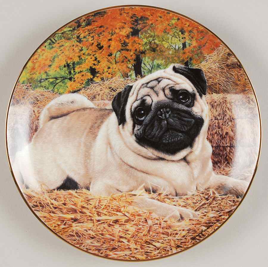 Pugs Country Pug - No Box by Danbury Mint-1