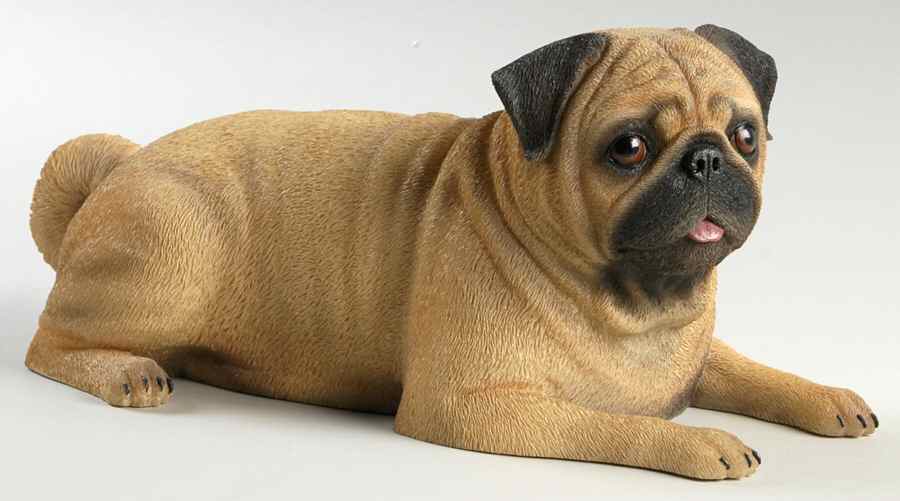Danbury Mint Figurine Perfect Pug - Boxed by Danbury Mint-1