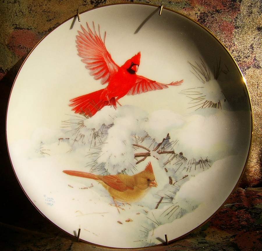 Outside My Window Cardinals In Winter - No Box by Dominion-1
