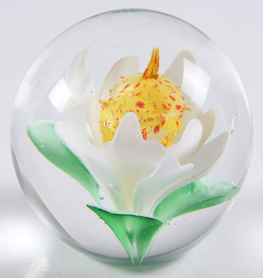 Dynasty Paperweights Magnolia - Boxed by Dynasty Gallery-1