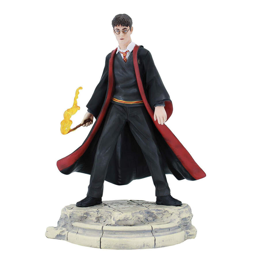 Harry Potter Harry Potter - Year 6 - Boxed by Enesco-1