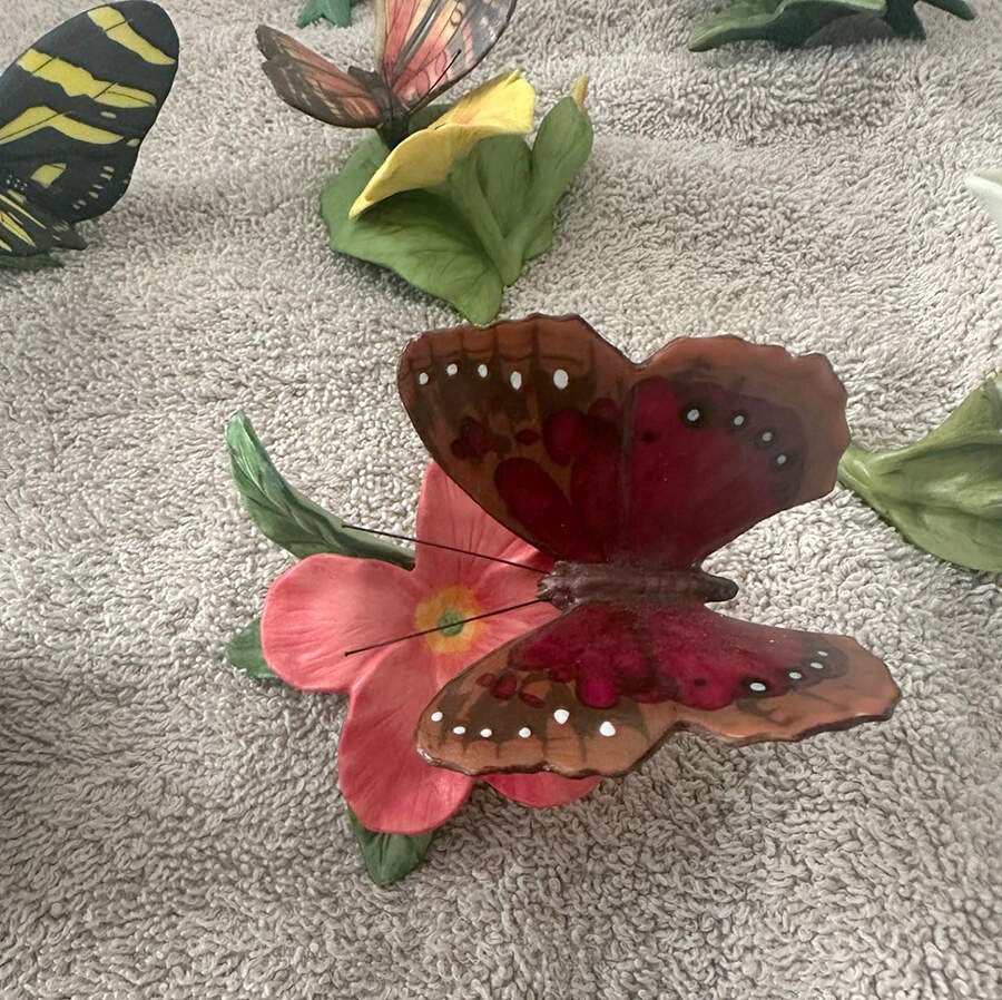 Butterflies of Paradise Forest Beauty  - No Box by Franklin Mint-1