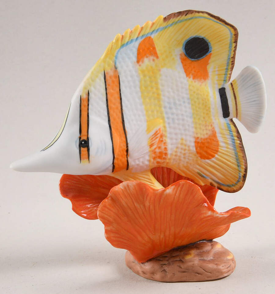 Jewels of The Sea Beaked Coralfish - No Box by Franklin Mint-1