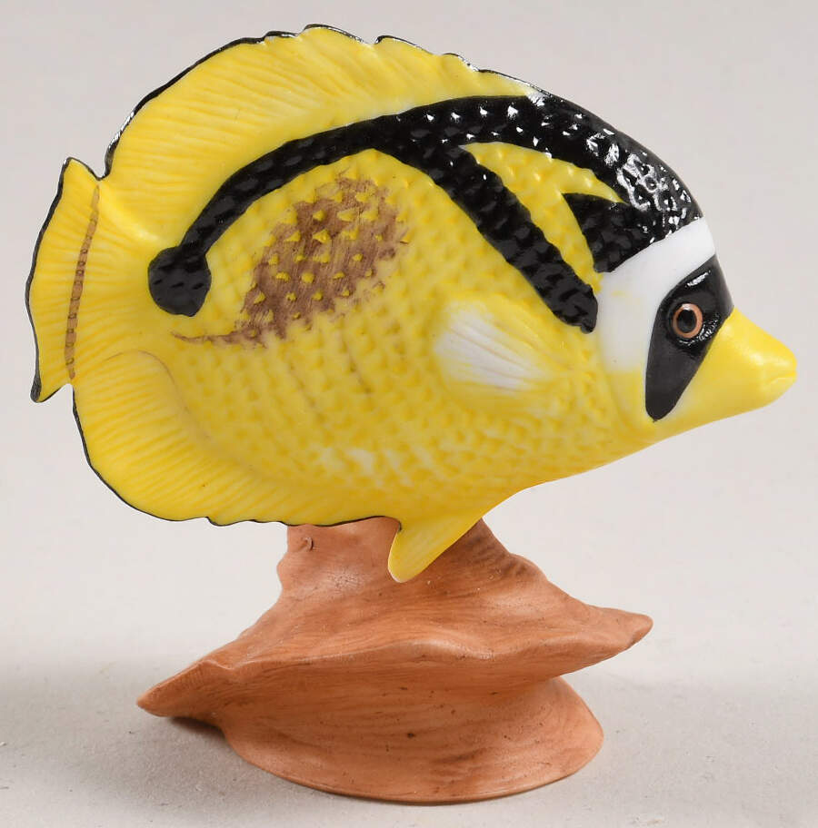 Jewels of The Sea Racoon Butterflyfish - No Box by Franklin Mint-1