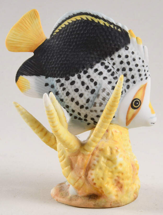 Jewels of The Sea Tinker's Butterfly - No Box by Franklin Mint-1