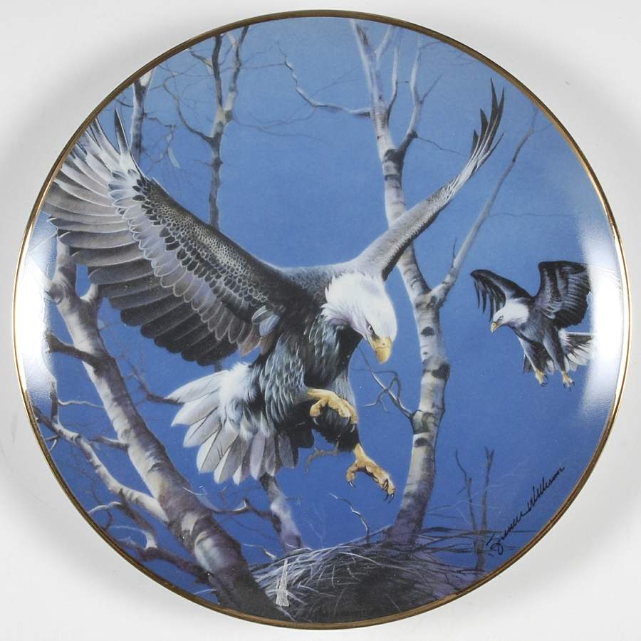 Spencer Williams Eagles Preparing The Nest - No Box by Franklin Mint-1