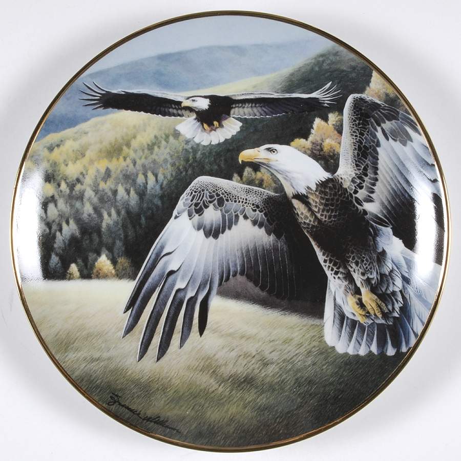 Spencer Williams Eagles Soaring Splendor - No Box by Franklin Mint-1