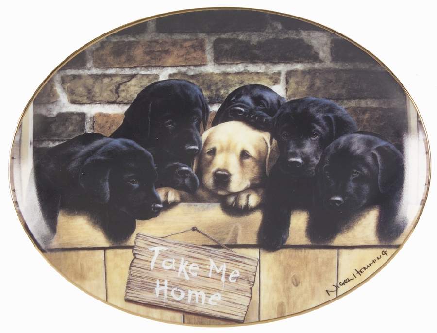 Nigel Hemming Labrador Puppies Take Me Home - No Box by Franklin Mint-1