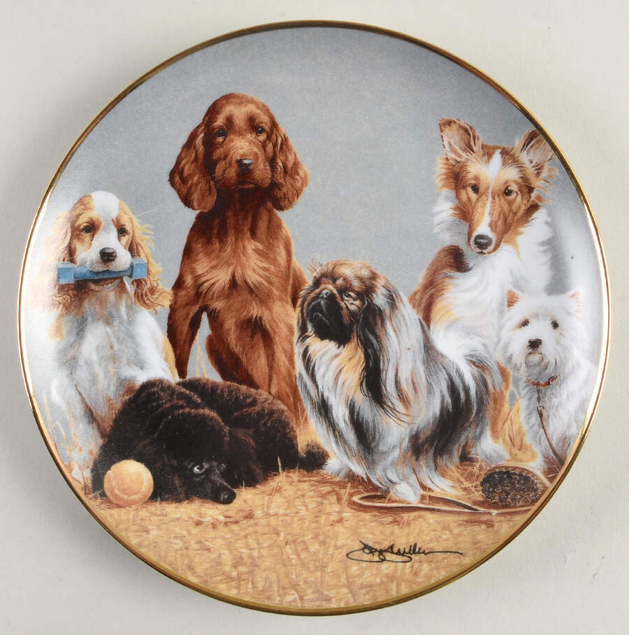 Aspca Top Of The Class - No Box by Franklin Mint-1