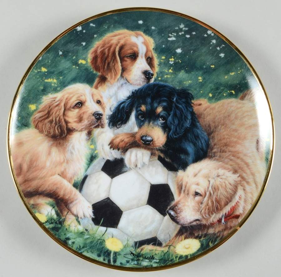 Aspca Soccer Scamps - No Box by Franklin Mint-1