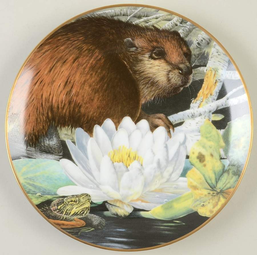 Country Diary Beaver - No Box by Franklin Mint-1