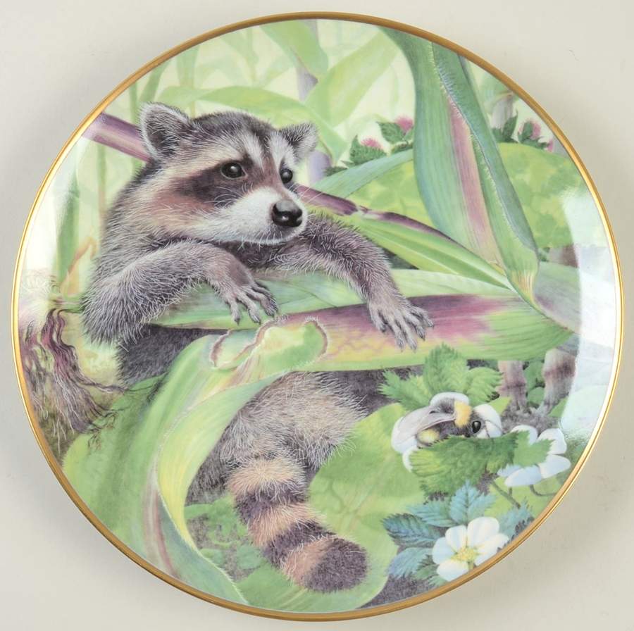 Country Diary Raccoon - No Box by Franklin Mint-1