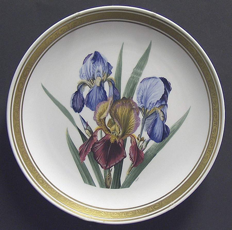 International Gallery Flowers Irises - No Box by Franklin Mint-1