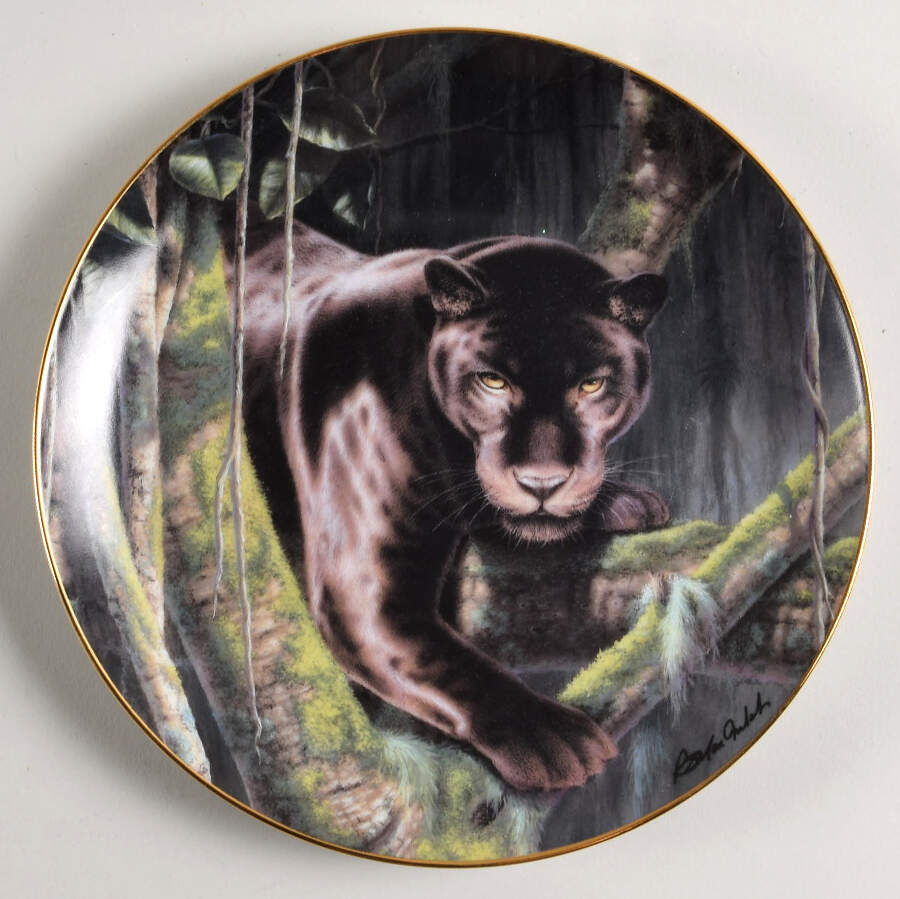 National Wildlife Federation Eyes Of Night - No Box by Franklin Mint-1