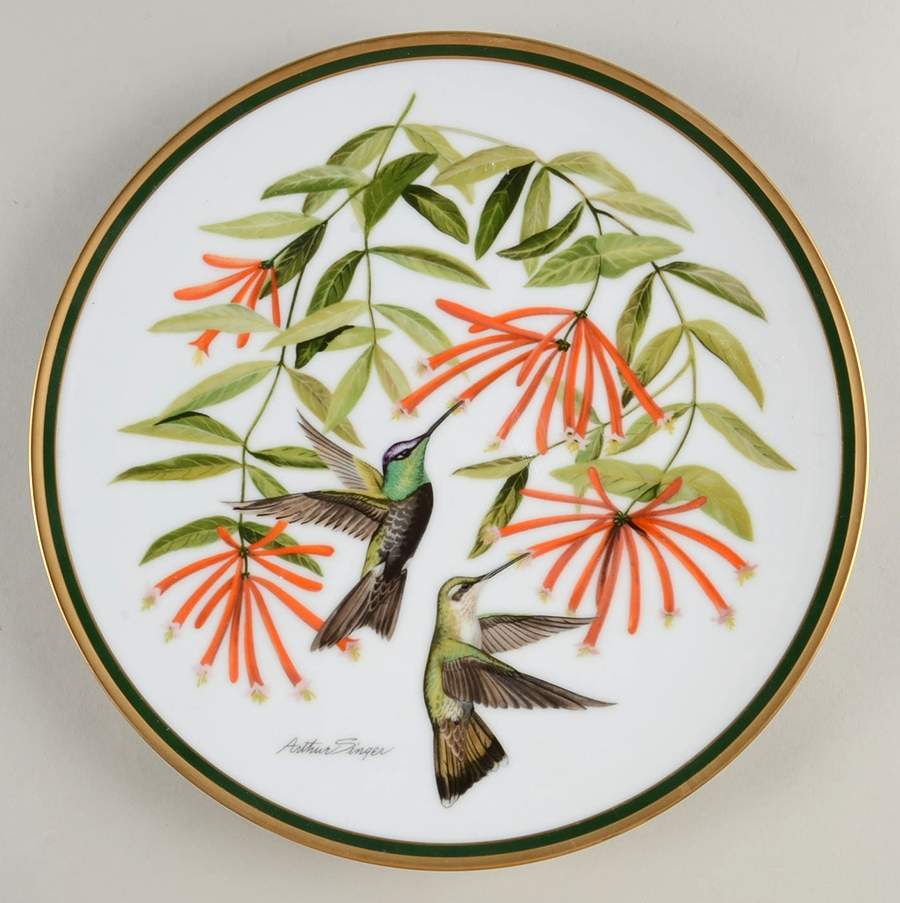 Woodland Birds Of The World Rivoli's Hummingbird - No Box by Franklin Mint-1